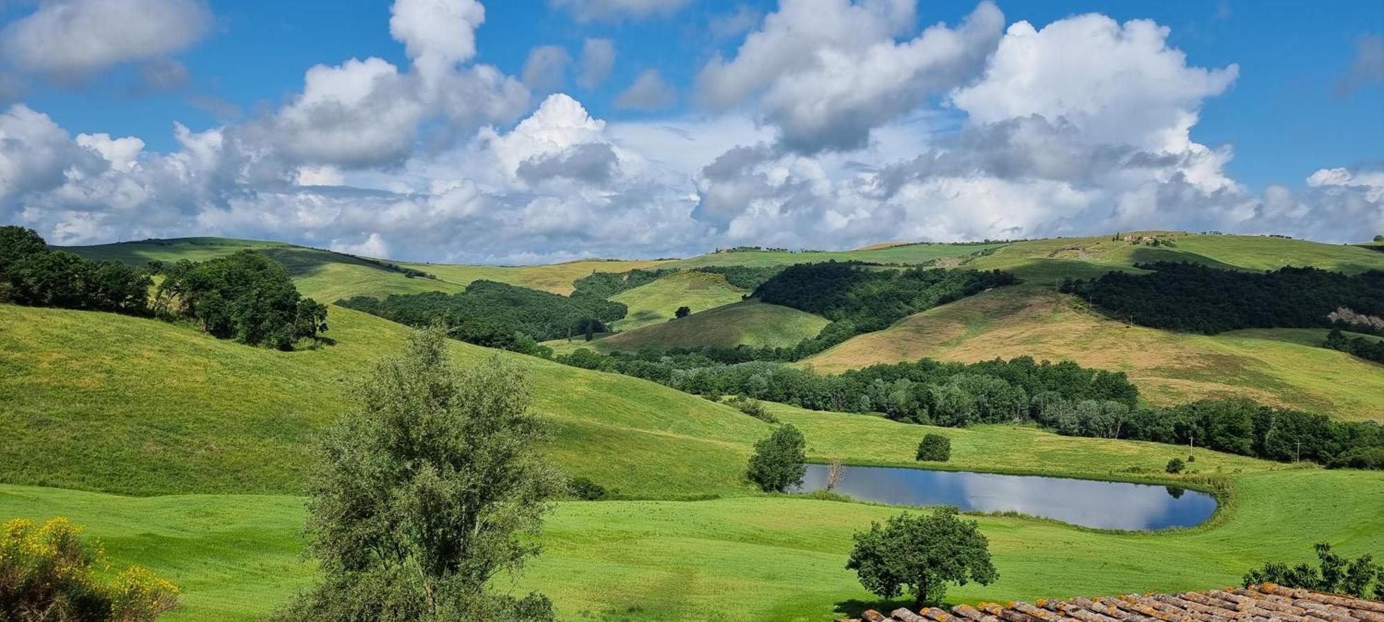 Agriturismo S. Eurosia Montalcino Ngoại thất bức ảnh